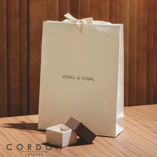 pendientes-plata-colgantes-aro-con-hoja-vidal-vidal