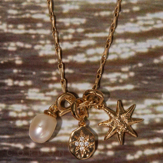 charm-estrella-polar-vidal-vidal-x48481-tresors