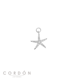 charm-plata-chapado-dorado-estrella-salvatore-213ch032