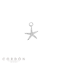 charm-plata-chapado-dorado-estrella-salvatore-213ch032