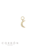 charm-plata-chapado-dorado-luna-salvatore-213ch042