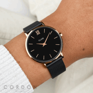 reloj-cluse-cw0101203024