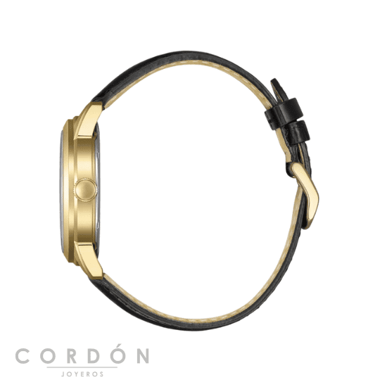 reloj-citizen-aw0153-04a-elegant